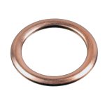 Blueprint Sealing Ring ADBP010002