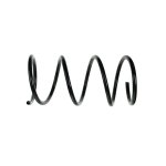 Blueprint Coil Spring ADG088361