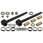 Febi Bilstein King Pin Set 01120