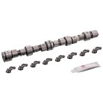 Febi Bilstein Camshaft Kit 03531