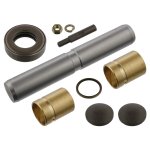 Febi Bilstein King Pin Set 04295