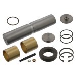 Febi Bilstein King Pin Set 04312