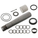 Febi Bilstein King Pin Set 04541
