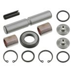 Febi Bilstein King Pin Set 04581