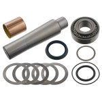 Febi Bilstein King Pin Set 05016