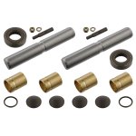 Febi Bilstein King Pin Set 05701