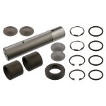 Febi Bilstein King Pin Set 05930
