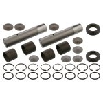 Febi Bilstein King Pin Set 05931