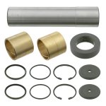 Febi Bilstein King Pin Set 06009