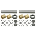 Febi Bilstein King Pin Set 06010