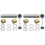 Febi Bilstein King Pin Set 06017