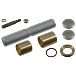 Febi Bilstein King Pin Set 06319