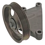 Febi Bilstein Idler Pulley 100173