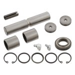 Febi Bilstein King Pin Set 10204