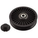 Febi Bilstein Idler Pulley 102580