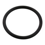 Febi Bilstein Sealing Ring 102594