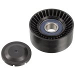 Febi Bilstein Idler Pulley 106881