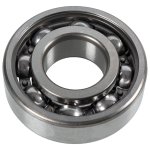 Febi Bilstein Pilot Bearing 107673