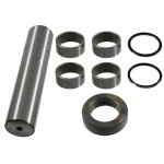 Febi Bilstein King Pin Set 11403