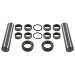 Febi Bilstein King Pin Set 11404
