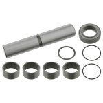 Febi Bilstein King Pin Set 11480