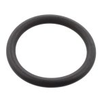Febi Bilstein Sealing Ring 11891