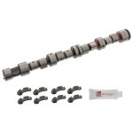 Febi Bilstein Camshaft Kit 12242