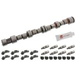 Febi Bilstein Camshaft Kit 12243