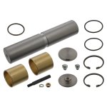 Febi Bilstein King Pin Set 12361