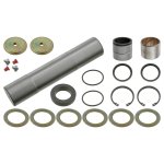 Febi Bilstein King Pin Set 15216