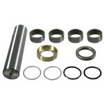 Febi Bilstein King Pin Set 15813