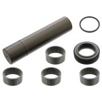 Febi Bilstein King Pin Set 15865