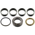 Febi Bilstein King Pin Set 15882