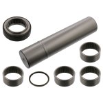 Febi Bilstein King Pin Set 15901