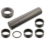 Febi Bilstein King Pin Set 15903