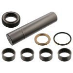 Febi Bilstein King Pin Set 15905