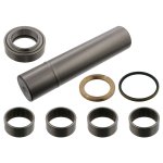 Febi Bilstein King Pin Set 15906