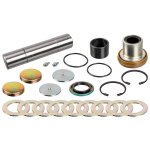Febi Bilstein King Pin Set 170122