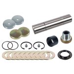 Febi Bilstein King Pin Set 170123