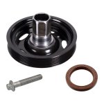 Febi Bilstein Pulley Set 171924