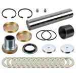 Febi Bilstein King Pin Set 172053