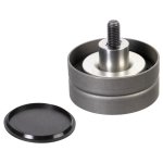Febi Bilstein Idler Pulley 173072