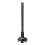 Febi Bilstein Exhaust Valve 179191