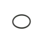 Febi Bilstein O-Ring 18184