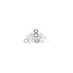 Febi Bilstein Brake Camshaft Bush Kit 18255