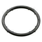 Febi Bilstein Sealing Ring 18766