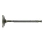Febi Bilstein Inlet Valve 19638