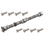 Febi Bilstein Camshaft Kit 19678