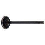Febi Bilstein Inlet Valve 21002