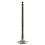 Febi Bilstein Exhaust Valve 24161